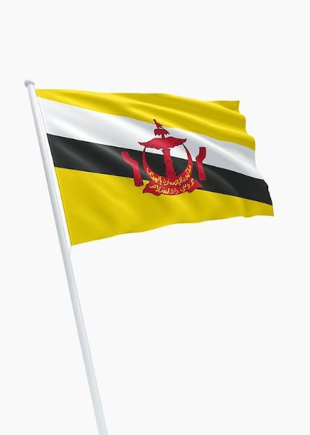 Vlag Brunei - 150x225cm Spun-Poly